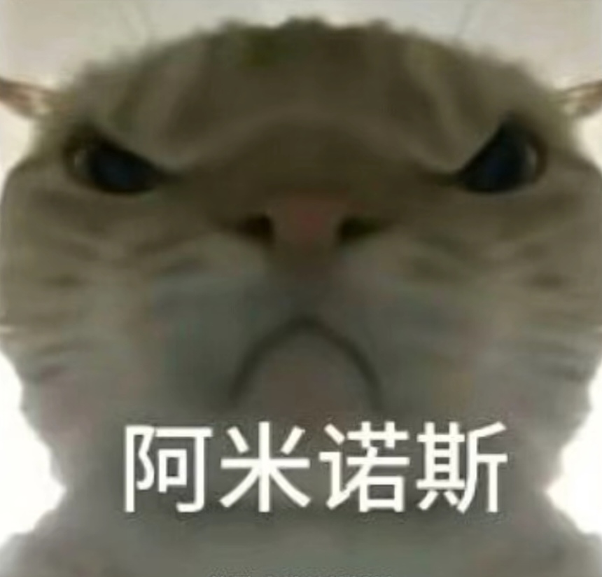 在德甲赛场